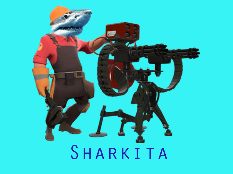 Engineer Shark